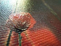 Часть картины увеличенная. УФ Печать Маки на закате на холсте